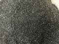 Eclipse Elegance Fine Glitter