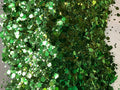 Willow Whisper Chunky Mix Glitter